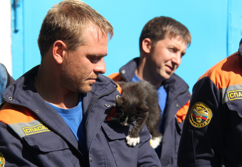 Ставропольские спасатели вызволили застрявшего в многоэтажке щенка
