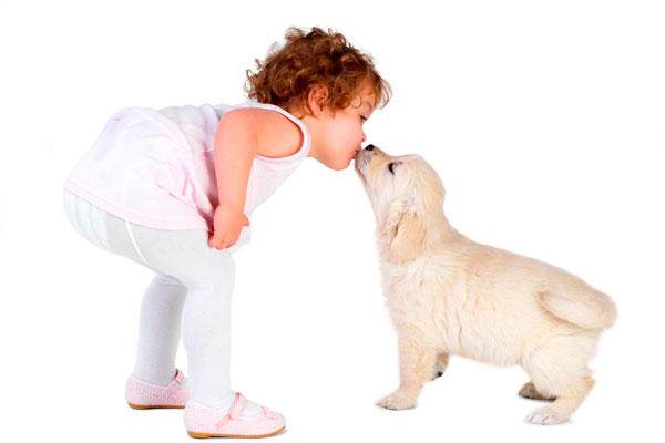 Поцелуй собаки может быть полезным для человека — Ученые