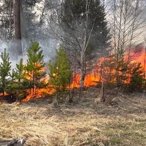 В Архангельской области начался пожароопасный сезон