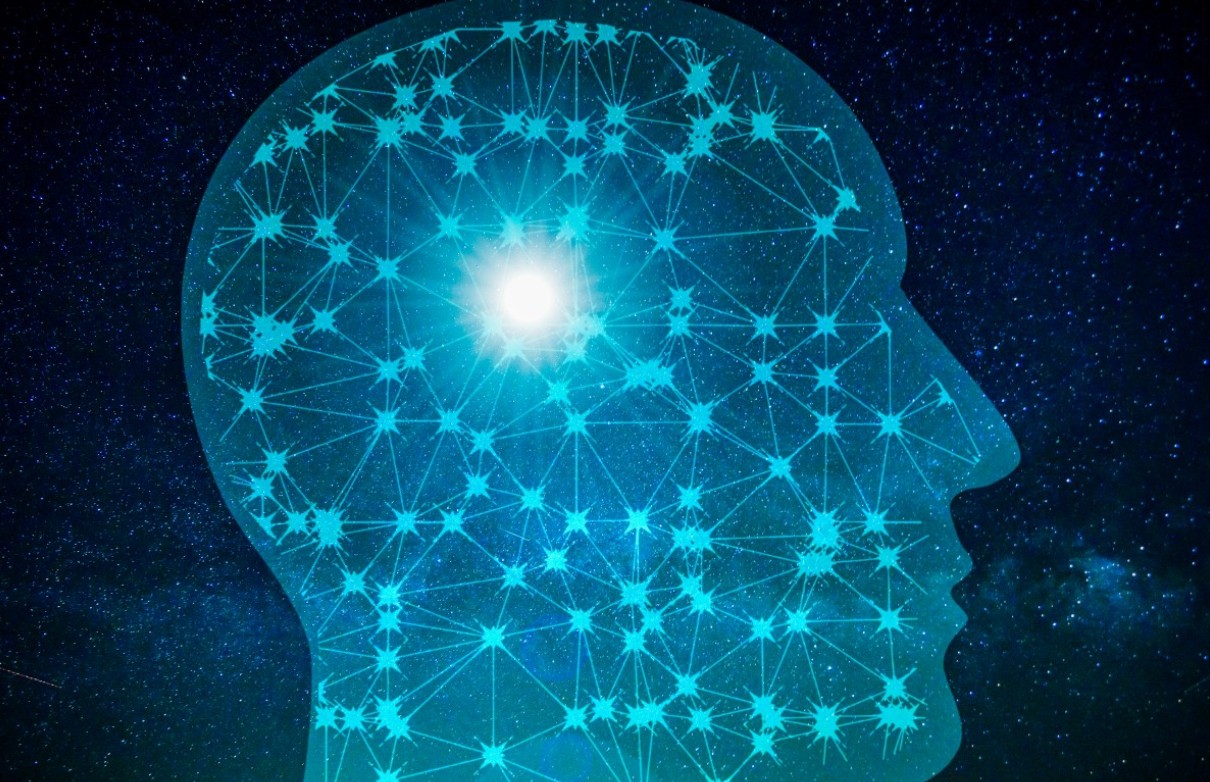 Ученые обнаружили связь между состоянием печени и когнитивными функциями мозга