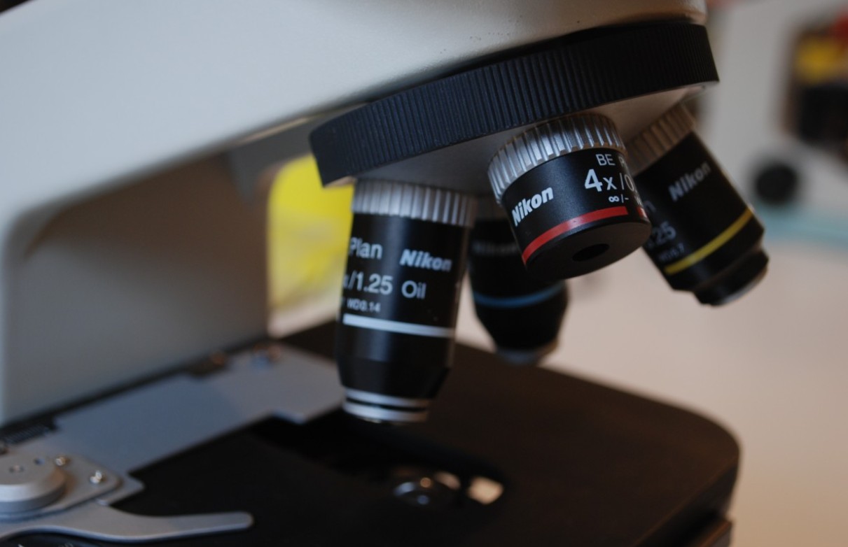 Шесть шагов для здоровья желчного пузыря назвала нутрициолог Лилия Нарбекова