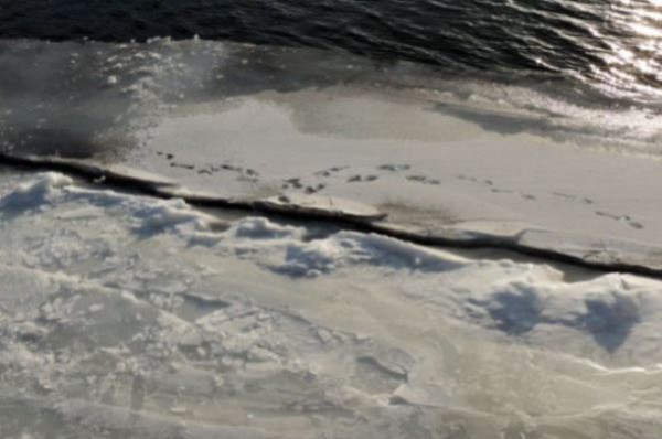 Подросток провалился под лед в районе 3-го Елагина моста