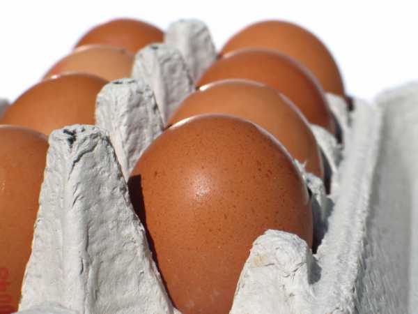 Яйцами неизвестного происхождения торговали в Курске