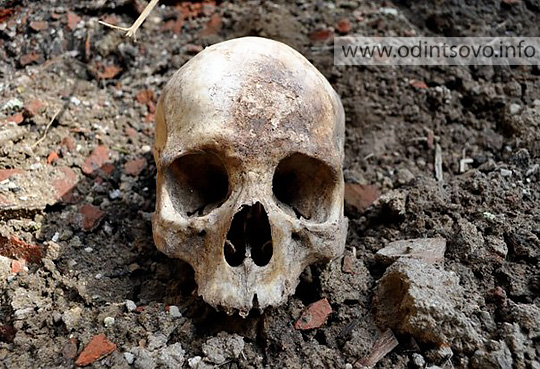 В Одинцово на стройплощадке нашли человеческие останки