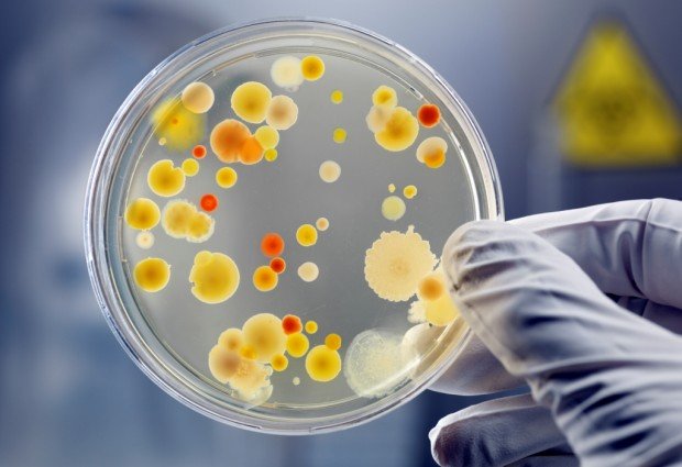 Обнаружена супербактерия устойчивая к антибиотикам