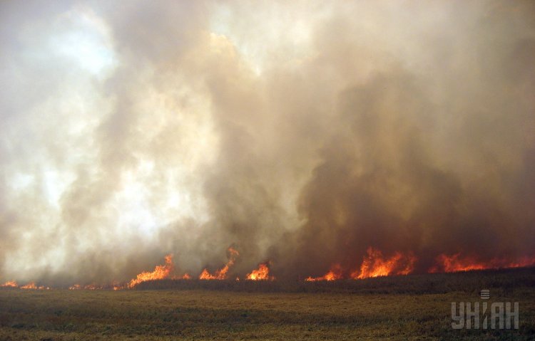 Пожежа на полі пшениці на Львівщині у 2009 роц