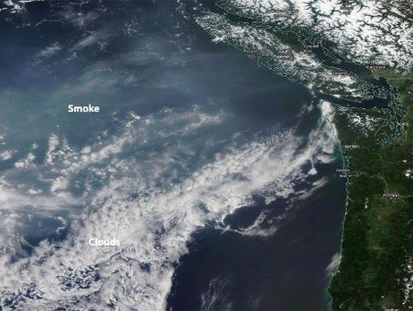Сибирский дым накрыл побережье США
