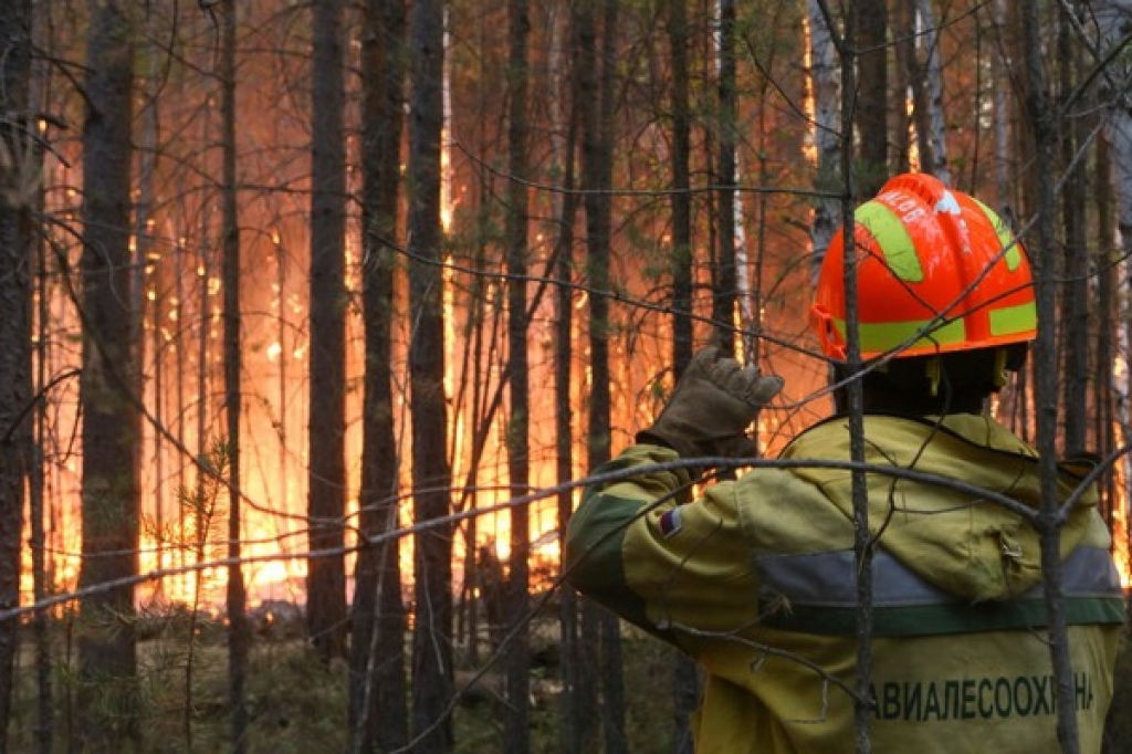 В Бурятии в связи с природными пожарами действует режим ЧС