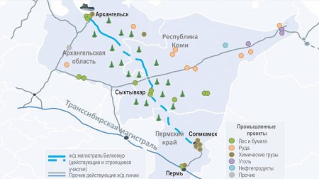 К новым источникам лесного сырья.