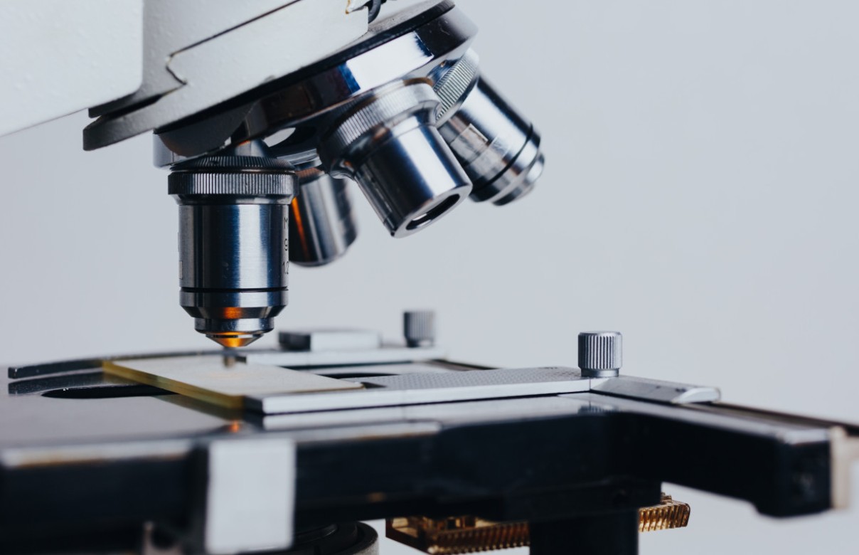 Новаторская биологическая заплатка из клеток поможет восстанавливать сердце без открытой операции