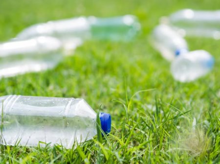 Ученые выявили, что микропластик может угрожать поджелудочной железе и вести к диабету