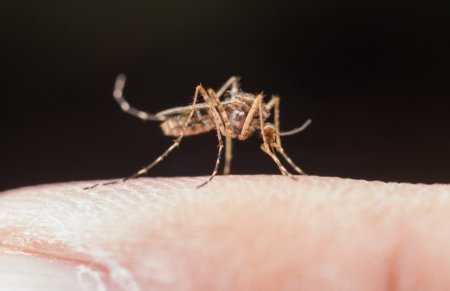 Врач Мухаметзянов рассказал, как избежать заражения на Кубе