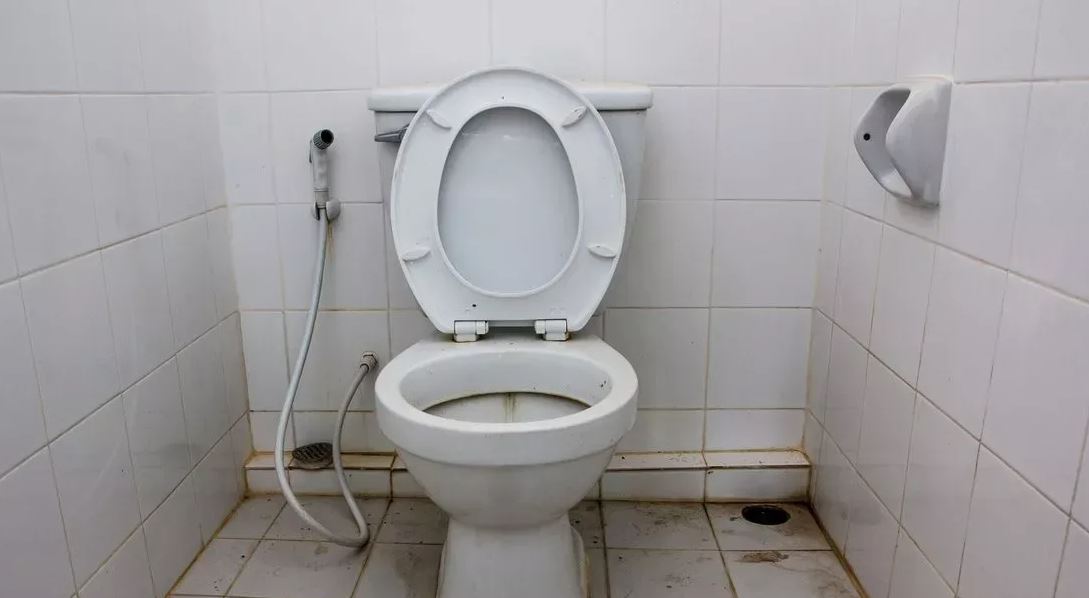 Ученые объяснили, почему бояться унитаза в общественных туалетах бесполезно
