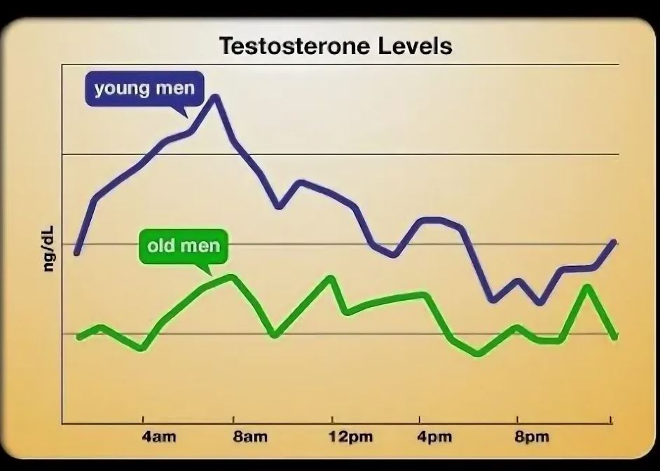Высокий уровень тестостерона у мужчин повышает риск ишемической болезни сердца, согласно исследованиям